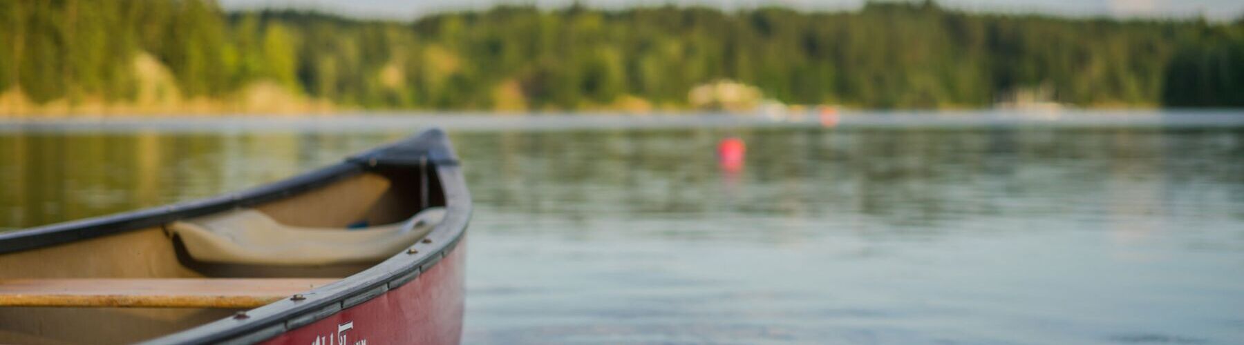 Mein alternativer Text